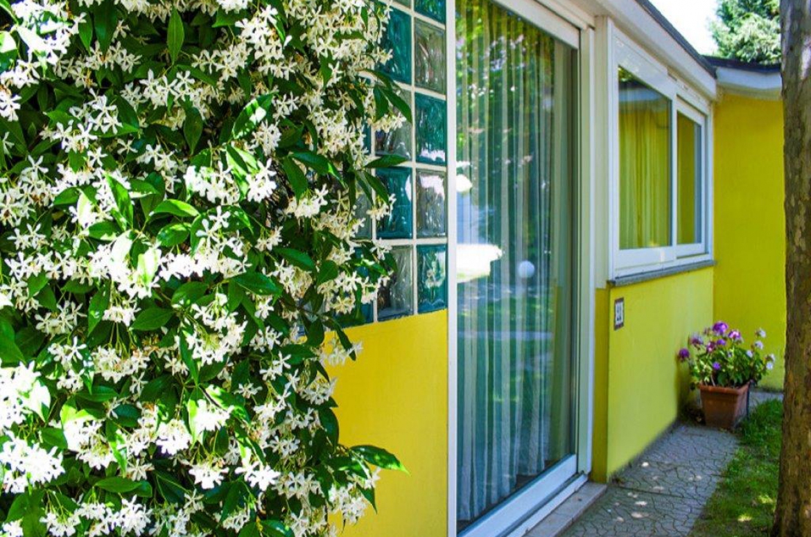 Accommodation photos - Comfort Bungalow | Villaggio Camping Rose Accommodation photos - Comfort Bungalow | Villaggio Camping Rose