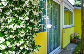 Accommodation photos - Comfort Bungalow | Villaggio Camping Rose Accommodation photos - Comfort Bungalow | Villaggio Camping Rose