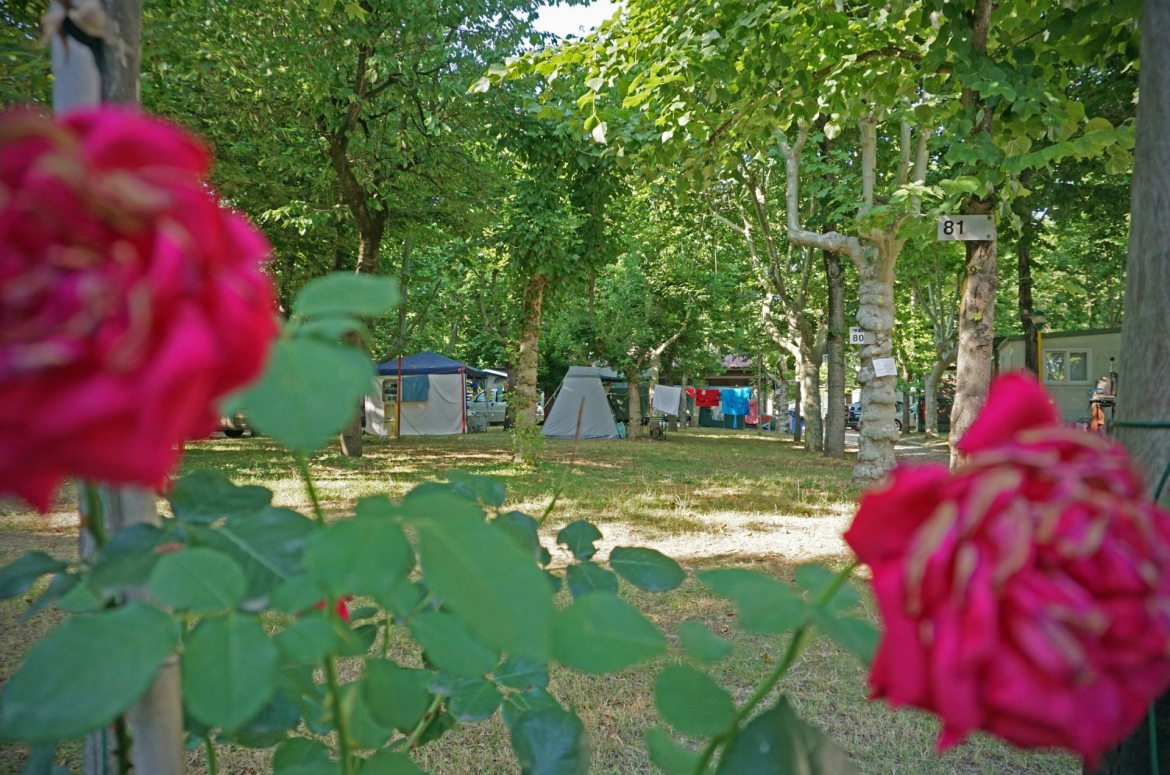 Foto dell'alloggio - Box A | Villaggio Camping Rose